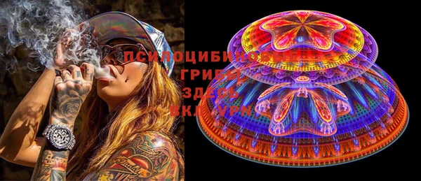 хмурый Алексин