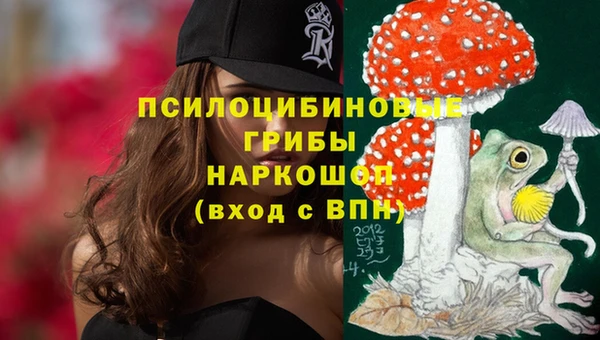 Альфа ПВП Алзамай