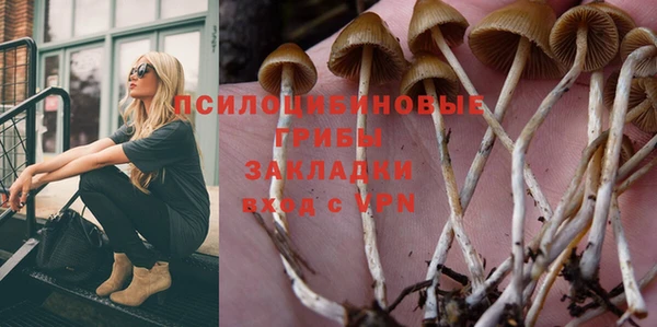 хмурый Алексин