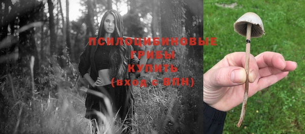хмурый Алексин