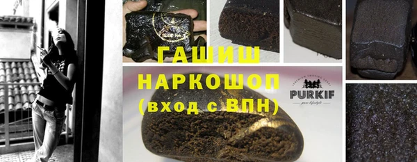 хмурый Алексин