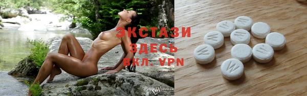 хмурый Алексин