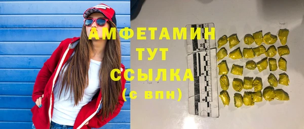 хмурый Алексин